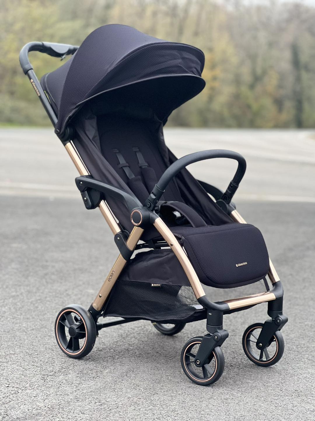 Kisobran kolica autosklopiva Eden Gold Black