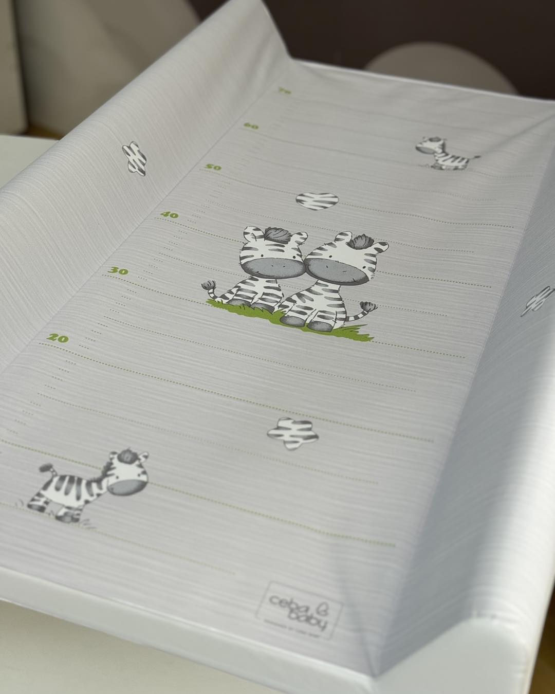 Tvrda podloga, Zebra