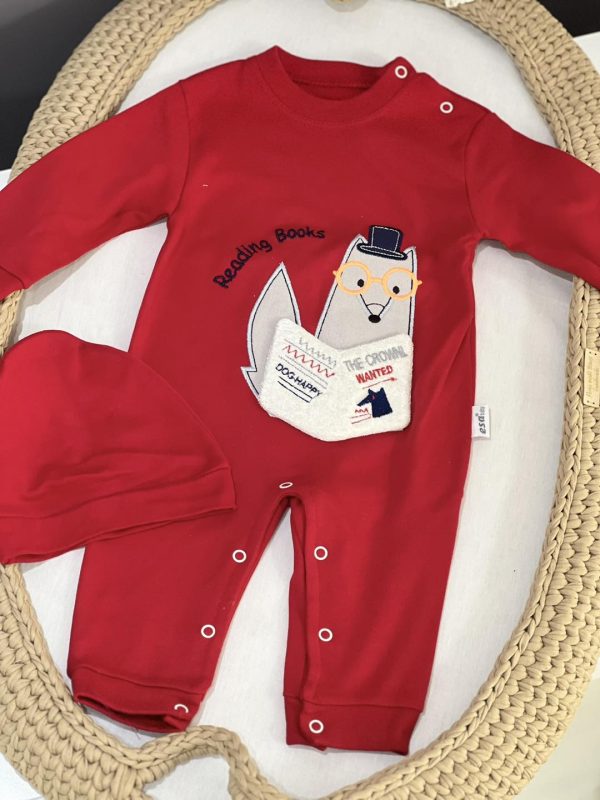 Esa set 2/1, Red